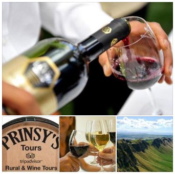 prinsys wine tour napier nz